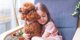 Young girl snuggles with a brown curly-haired dog