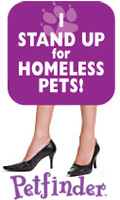 I Stand Up for Homeless Pets
