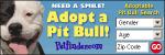 Adopt a Pit Bull #2