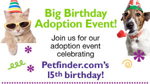 Petfinder Big Birthday Adoption Event