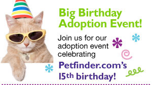 Petfinder Big Birthday Adoption Event at Wildrun