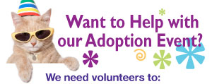 Want to Help with our Adoption Event?
