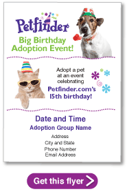 Petfinder.com birthday flyer