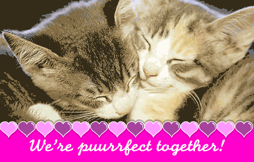 Valentine's Day Ecard - We're puurrfect together! Happy Valentine's Day