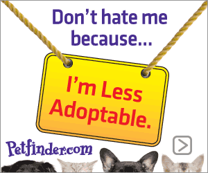 Less Adoptable Pet Week sponsored by PetFinder