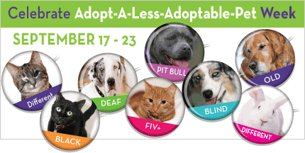 Celebrate Adopt-A-Less-Adoptable-Pet Week