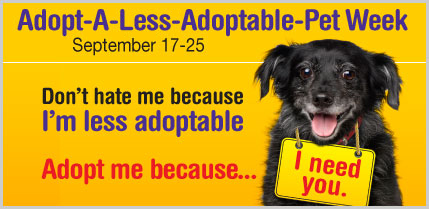adopt-a-less-adoptable pet logo