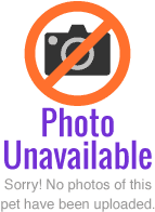 No  picture available