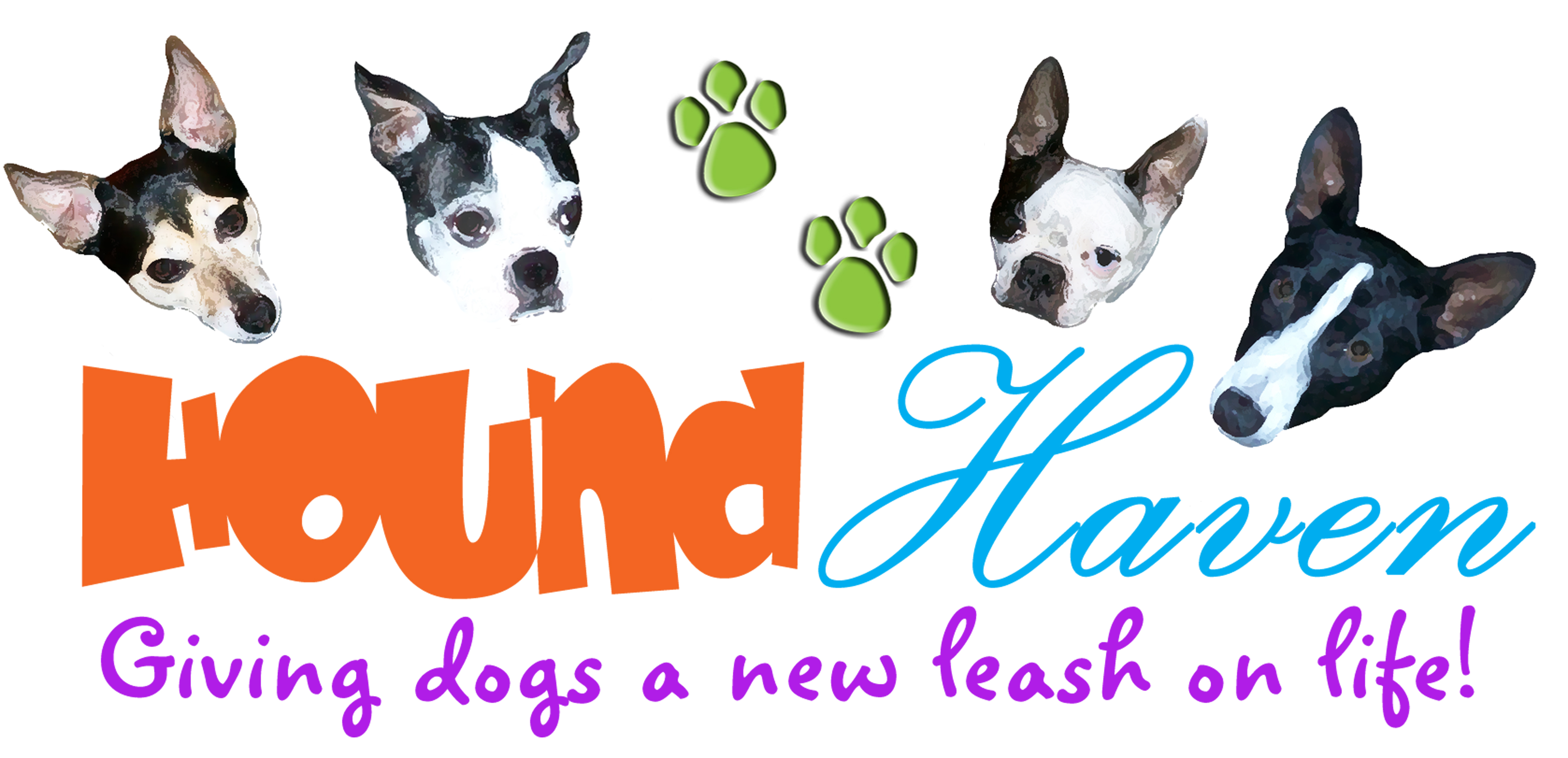adopt a  hound