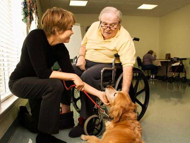 Dog Assisted Therapy