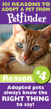 Petfinder: 101 Reasons to Adopt ... pets know what to say