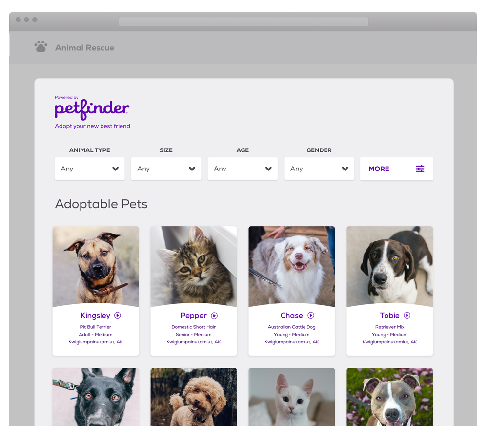 websites like petfinder