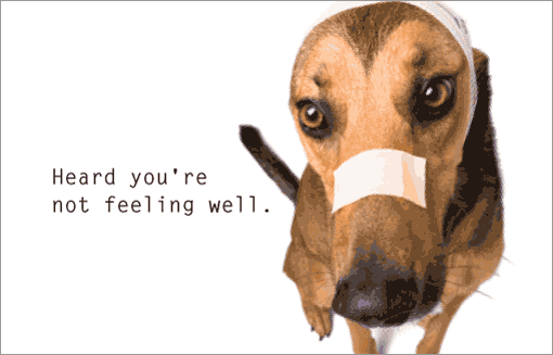 Get Well Ecard - Get Well (dog)