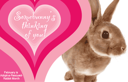 valentine bunny clipart - photo #43