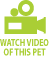 Watch Video of this Pet
