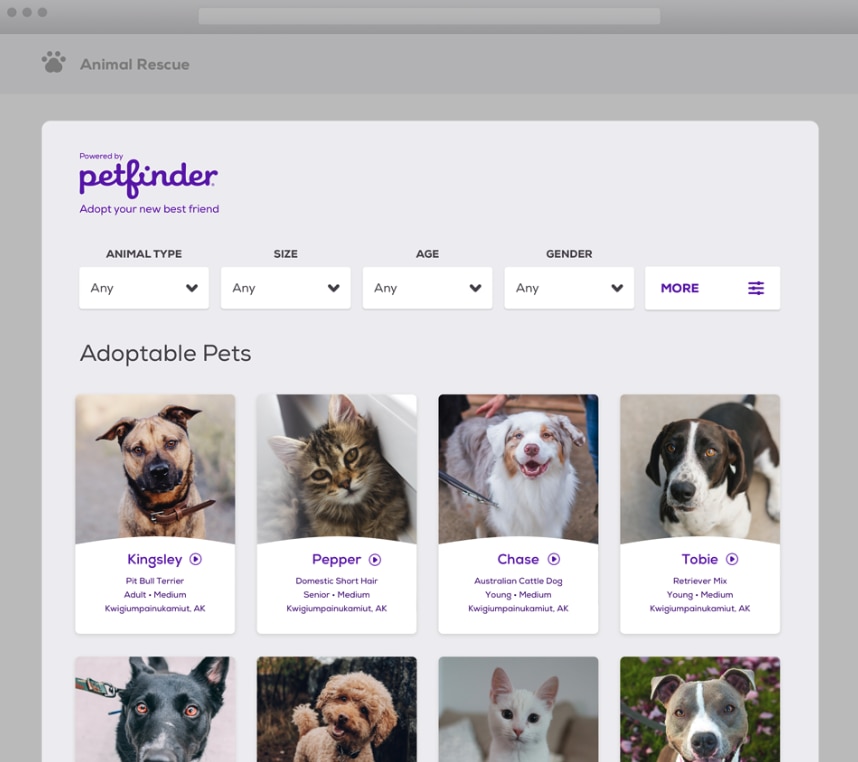 Custom Pet List Widget Preview