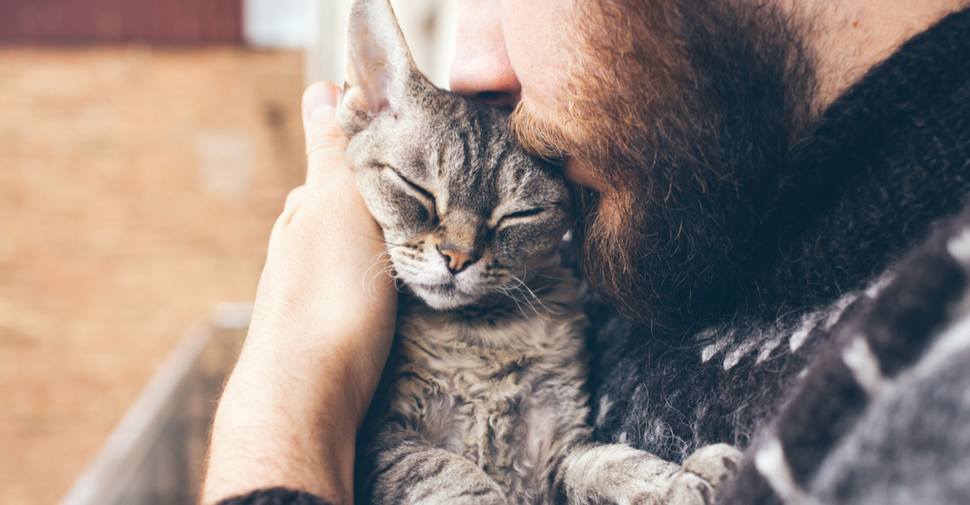 Do cats care about our feelings?