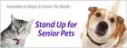Senior pet banner