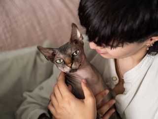 person holding Egyptian cat