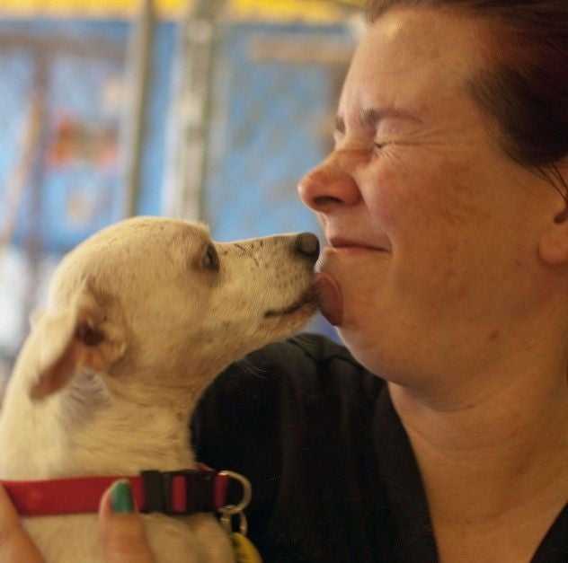 Dog Licking a person