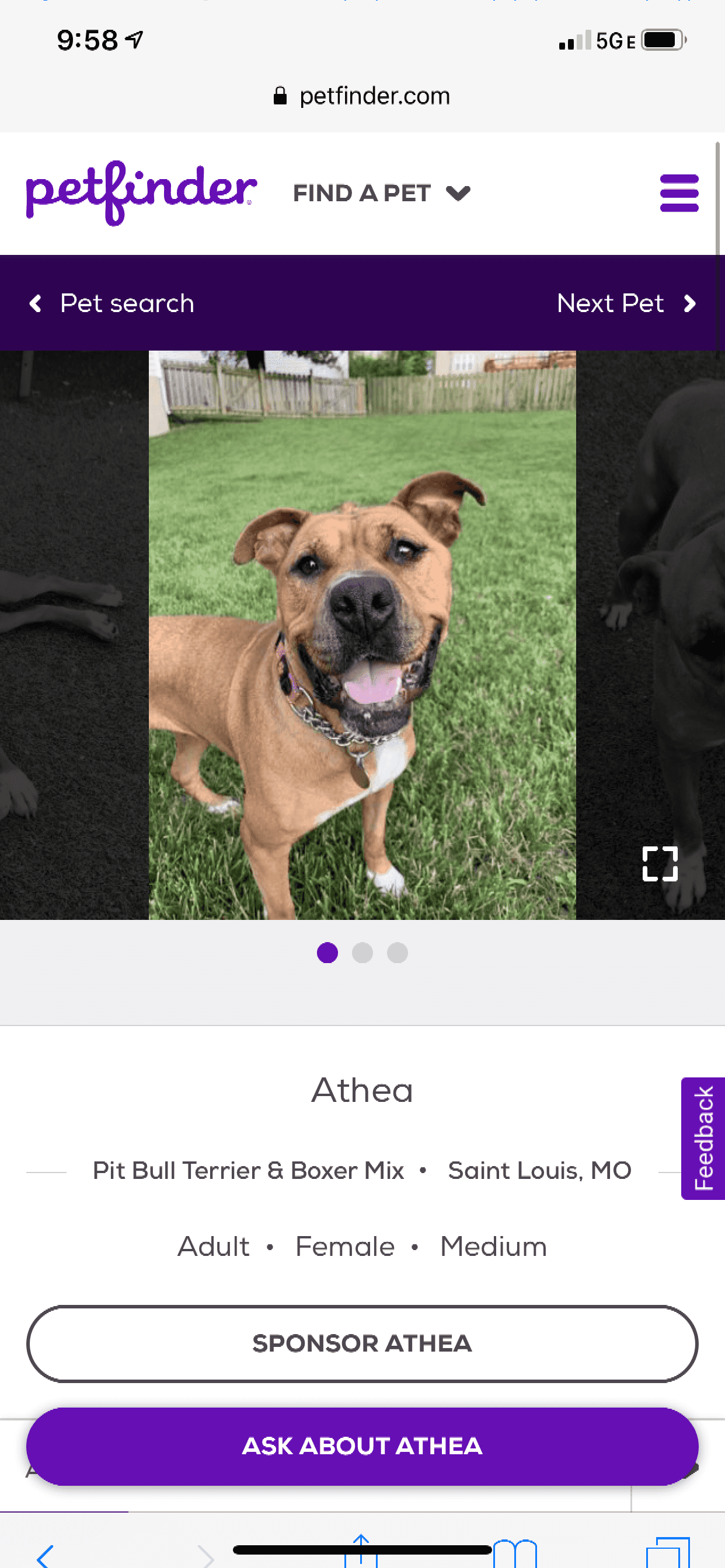 petfinder sponsor a pet