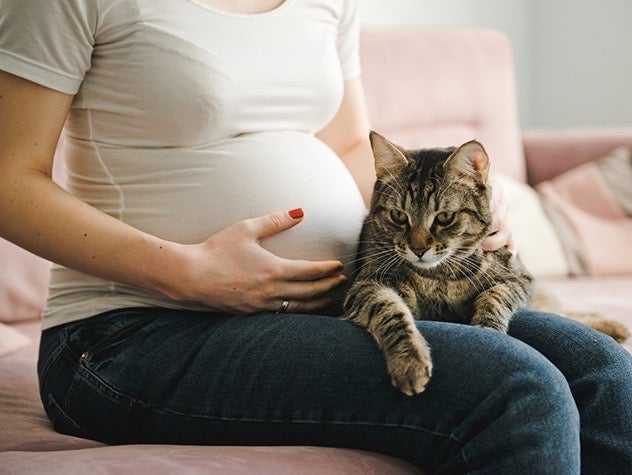 Pregnant women with cat