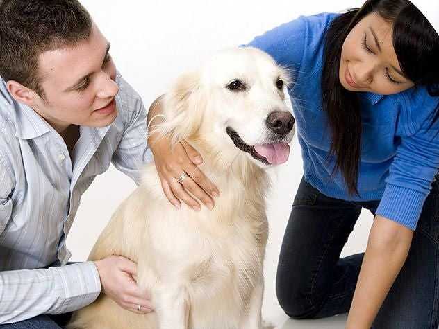 Young couples with Dog