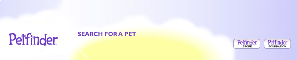 Petfinder.com