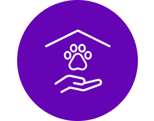 Guernsey County Dog Shelter