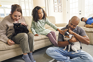cat and dog with people