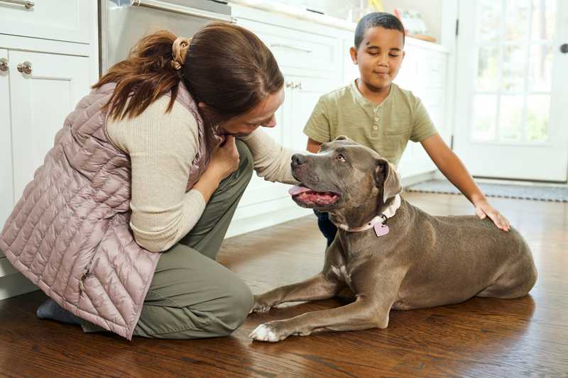 Woman and child in kitchen petting a gray dog